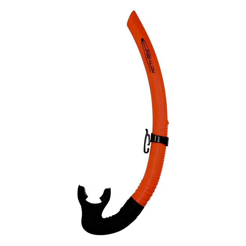 Buceo-Chile-Epsealon-Snorkel-Seaquest-001.Jpg Snorkel Seaquest Epsealon
